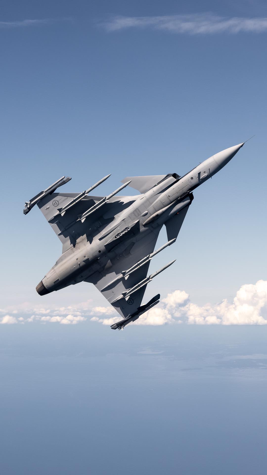 Aerospace Engineering - Gripen Fighter